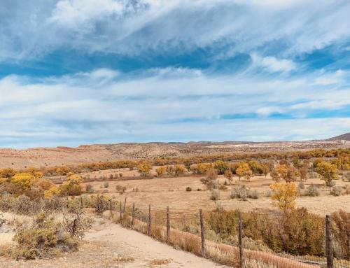 Vollmer-Dahlke-D-Georgias-View-at-Abiquiu